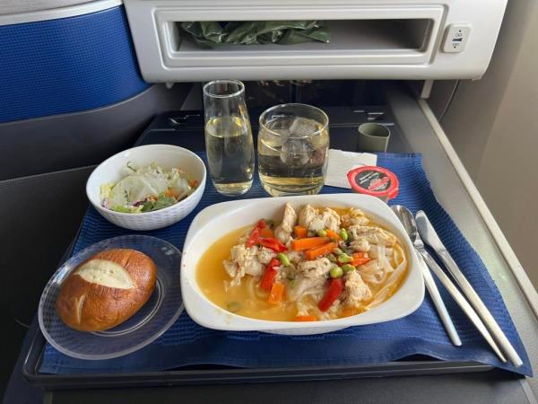 Airplane meal