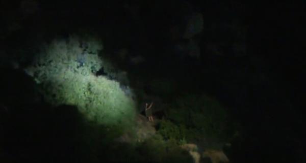 Stranded hiker seen in the brush in the hills near Los Angeles 